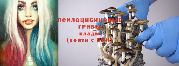 амф Майский