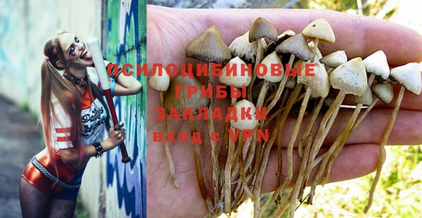 амф Майский
