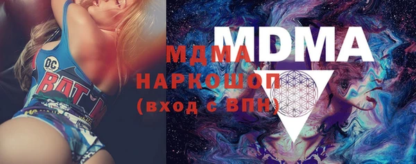 индика Каменногорск