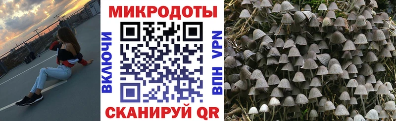 Галлюциногенные грибы мицелий  Ядрин 